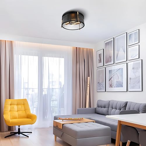 Miniatura 7 de Lámpara de techo industrial empotrada, lámpara de techo rústica con pantalla de vidrio transparente, lámpara de techo industrial de jaula de metal