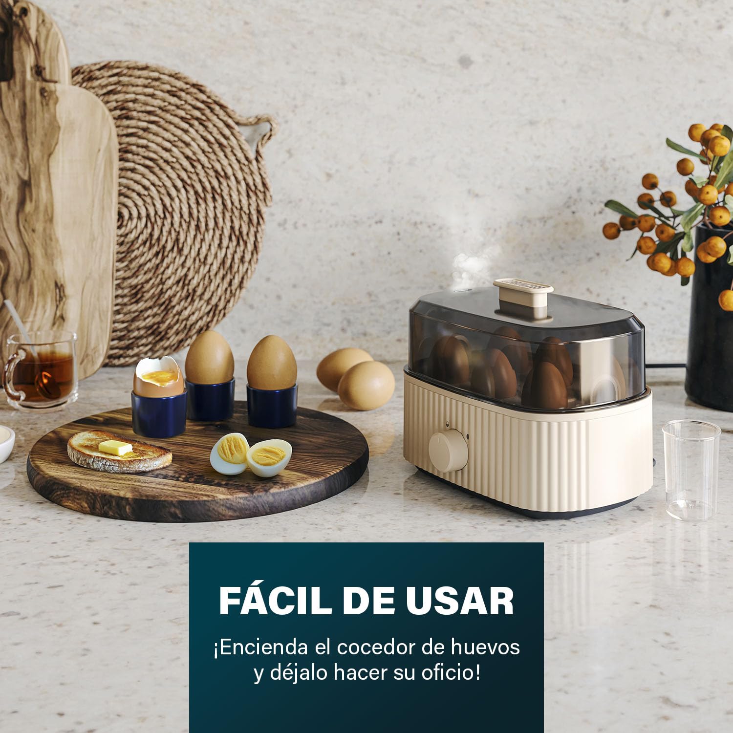 Princess Hervidor de Huevos, Capacidad 6 Huevos, 300W, Medidor para Cocción Suave/Media/Dura, Apagado Automático, Libre de BPA, Tapa con Vapor, Fácil de Limpiar, 262047