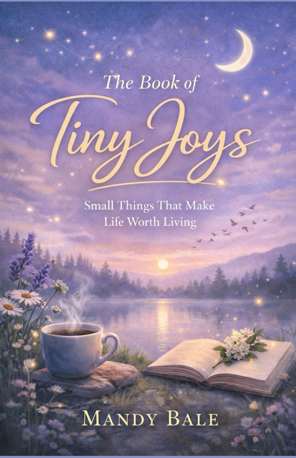 The Book of Tiny Joys: Small Things That Make Life Worth Living