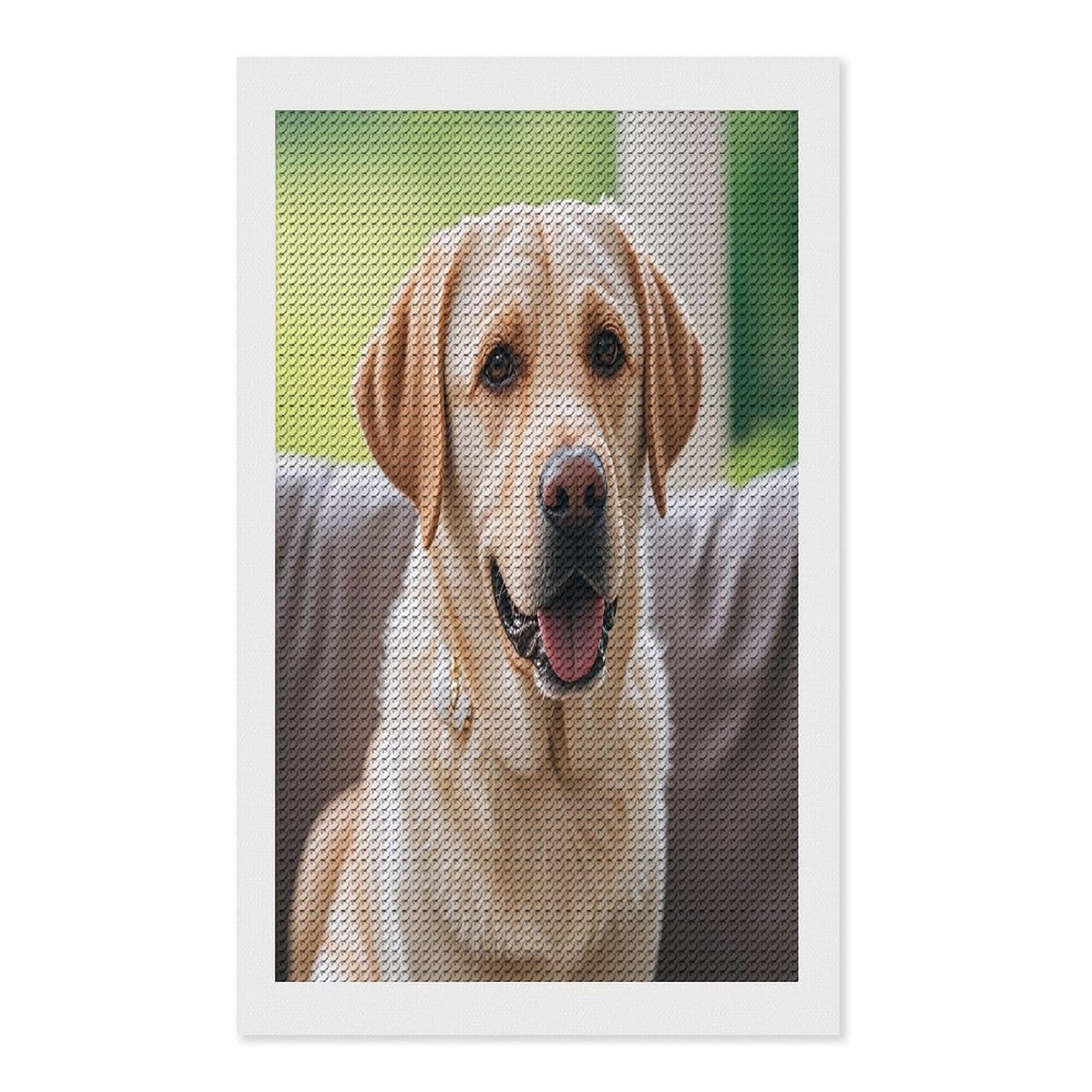 FekiLoot Cute Labrador Dog Diamond Painting Kits for Beginners DIY Diamond Art Kits for Adults Full Drill Round Diamond Dot Gem Art Painting Fun DIY Crafts for Home Kitchen Wall Decor Gift 12"x20"