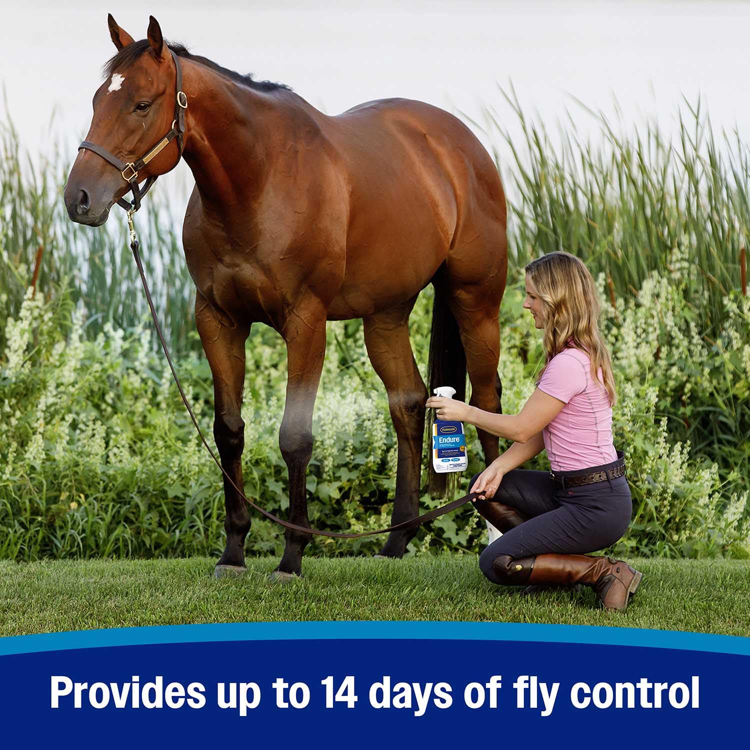 Endure 946mls caballos. Insecticida repelente.