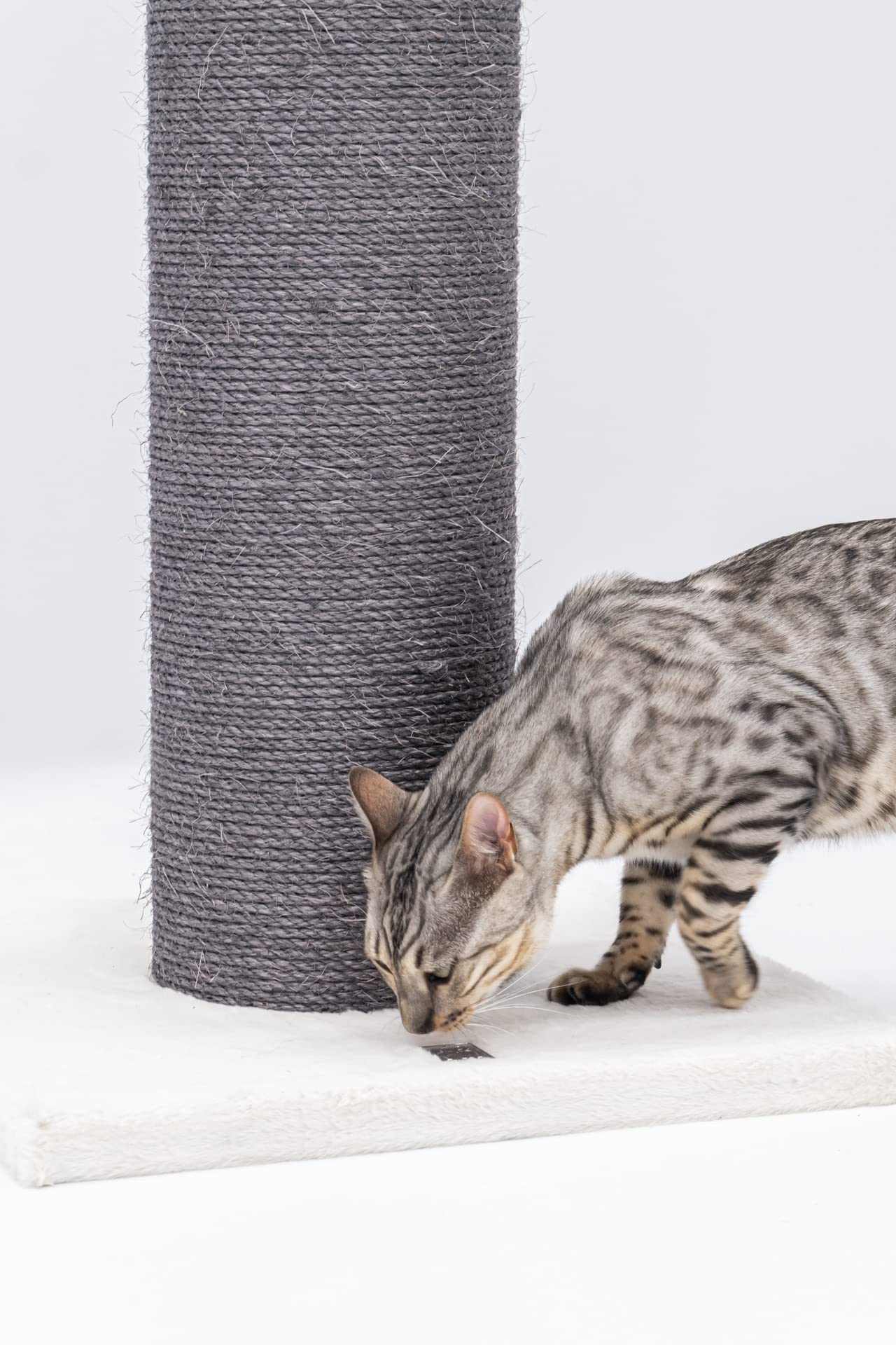Petrebels XXL Kratzstamm Robust, Grosse Katzen, Savannah 86, Off-White | extrem stabiler Kratzsäule, Ø 20 cm Stamm, 86 cm hoch, für große Katze, Maine Coon, Ragdoll, Natur-Sisal, dicke Bodenplatte