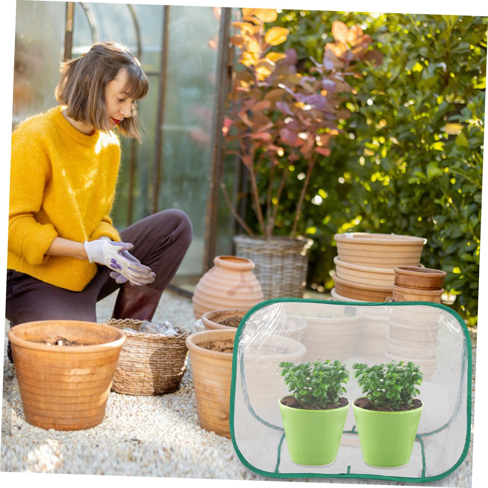 Supvox Faltbares Mini-gewächshaus Tragbares Blumenzelt Aus PVC-Material Kleines Pflanzengewächshaus Für Außenbereich Für Sukkulenten Und Kleine Pflanzen