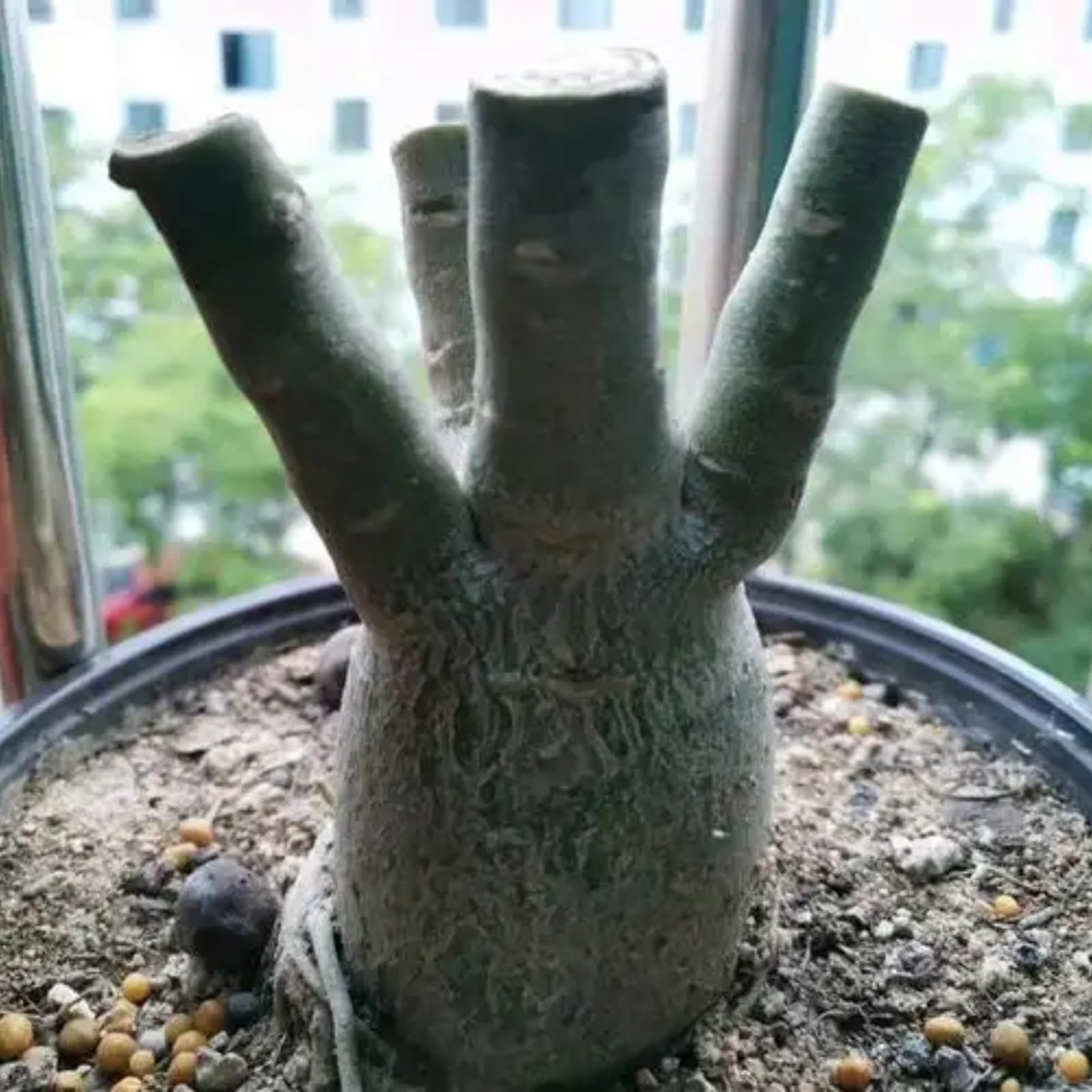 View 2