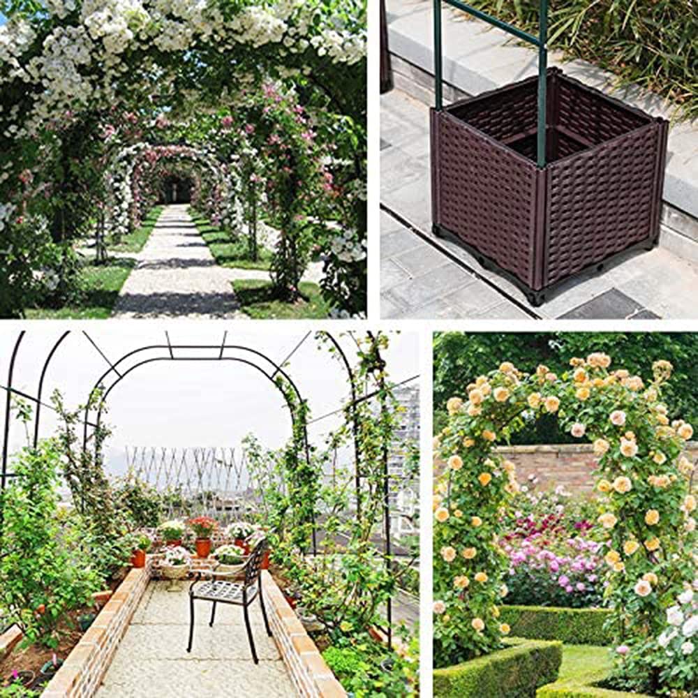 Amazon.co.jp: MENG ガーデンアーチ 組み立てかんたんフラワーアーチ