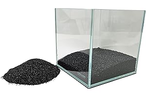 Lifegard Black Satin: A Glamour Enhancer for Your Aquarium