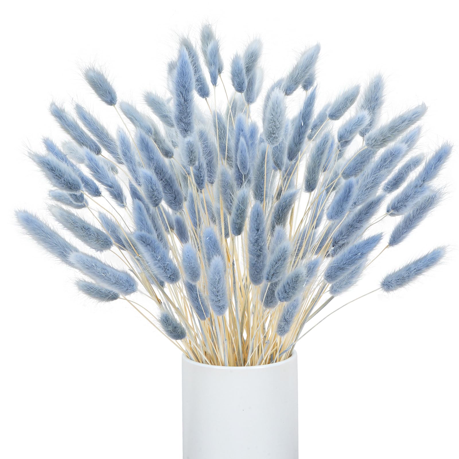120 Tiges Herbe De La Pampa Bleue Séchée 43cm - Fleurs Séchées Naturelles Boho Mariage