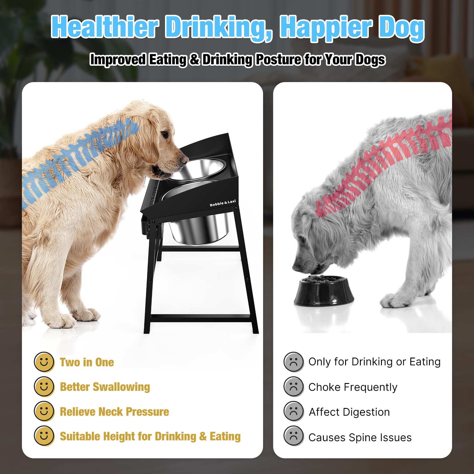 Bobbie & Laxi Erhöhter Wassernapf für Hunde