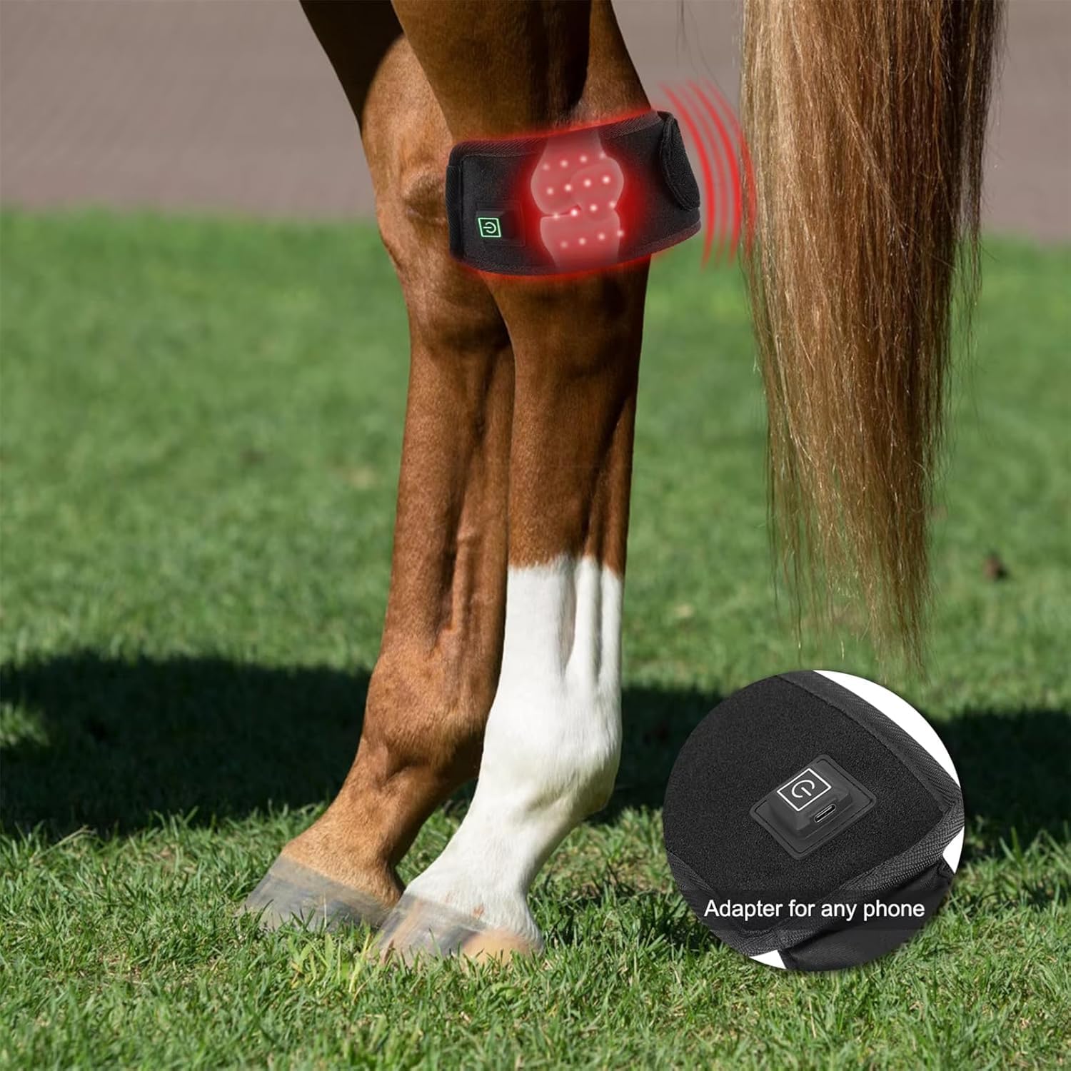 Envoltura Portátil De Terapia De Luz Roja para Caballos: Alivio Eficaz del Dolor En Cascos Y Corvejones para Mascotas, Fototerapia Portátil para La Salud Y Recuperación Equina.