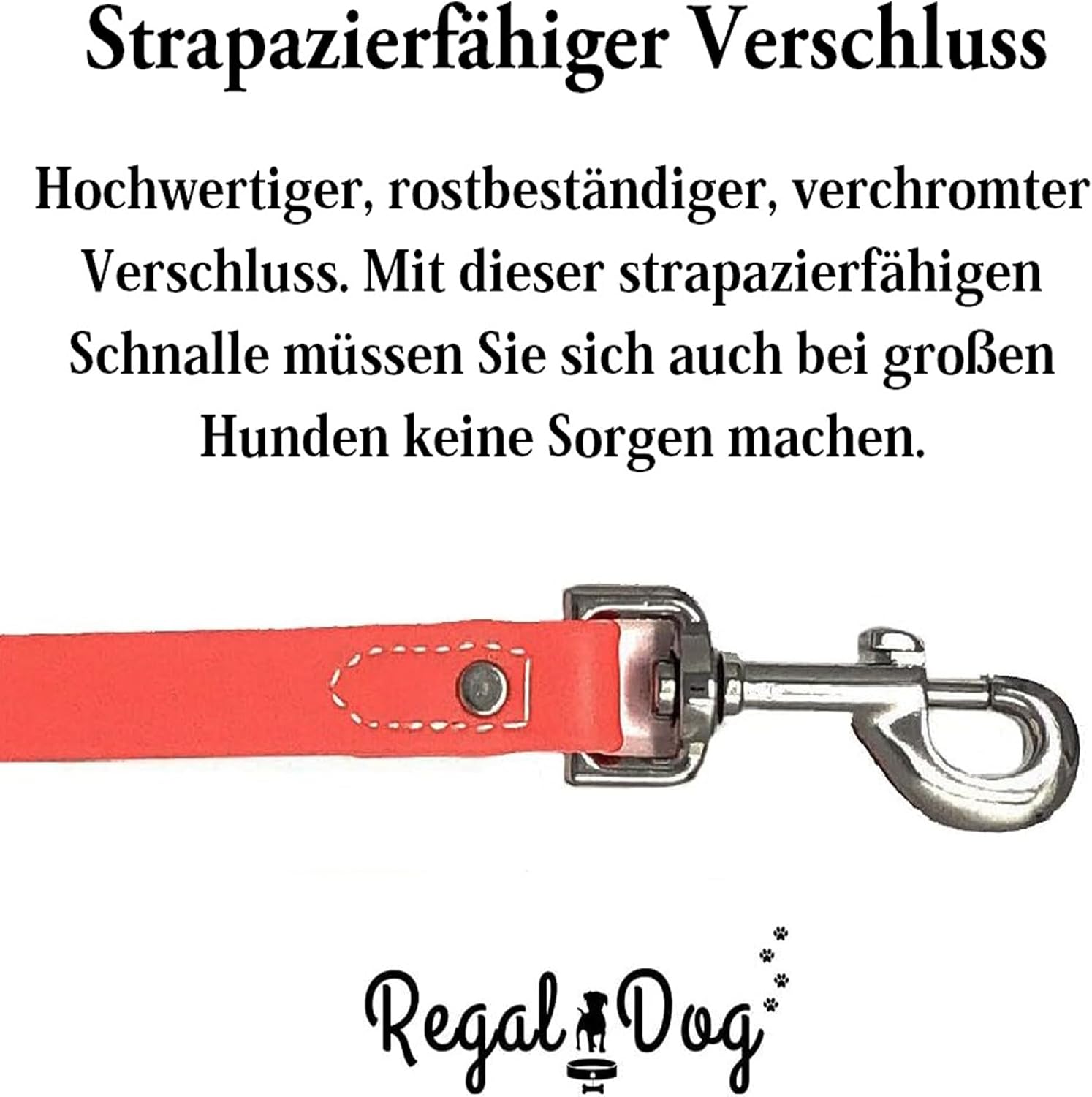 Regal Dog Products Large Orange Waterproof Dog Collar and Leash Set - Vinyl Coated Biothane Pet Training Collar with Heavy Duty Center Ring & 5'ft Leash - Other Sizes for Puppy, Small & Medium Dogs Large Collar & Leash Orange image 8 of 9 B07XVTCVCZ