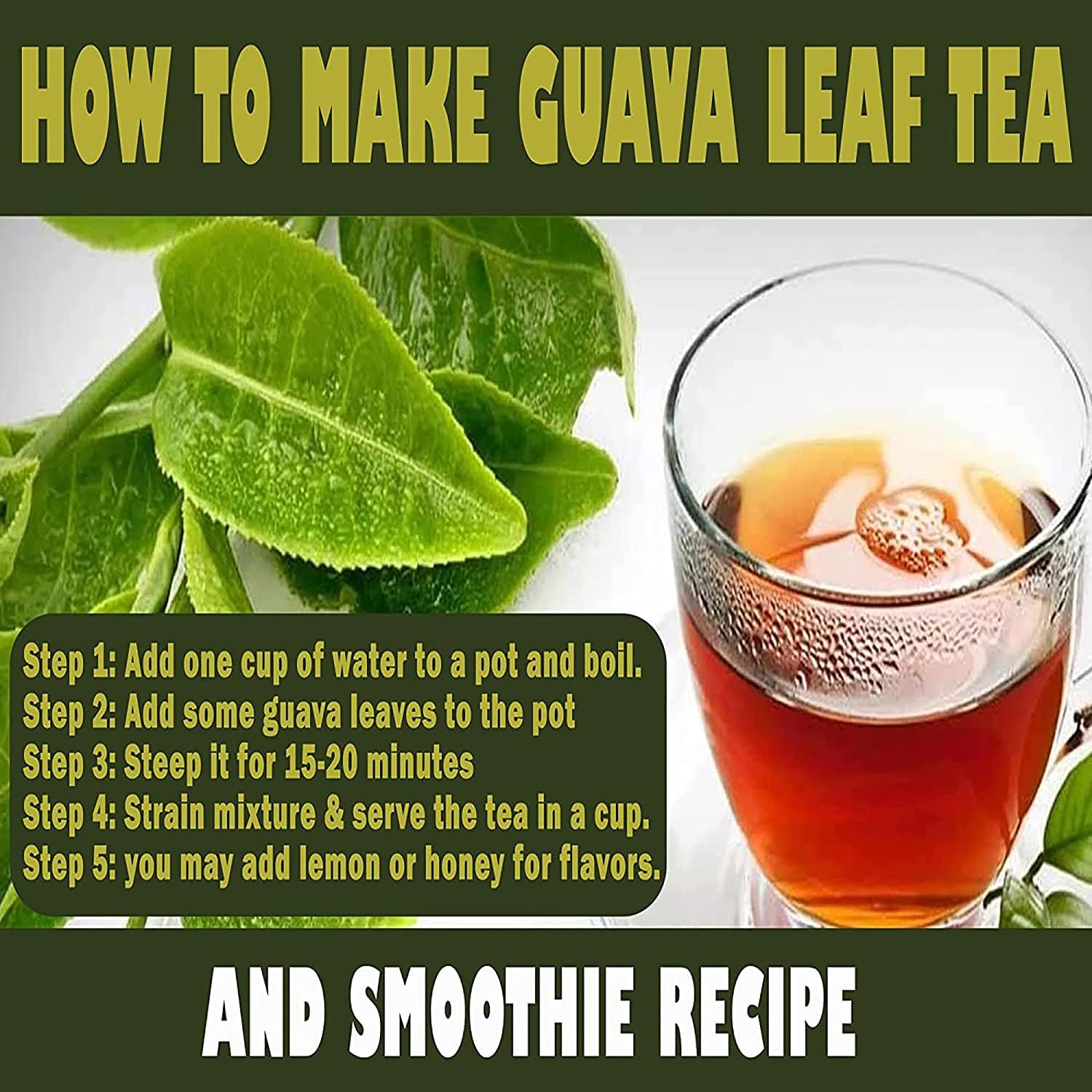 Hojas de guayaba enteras secas, hoja de guayaba Té Hojas de hierbas Té