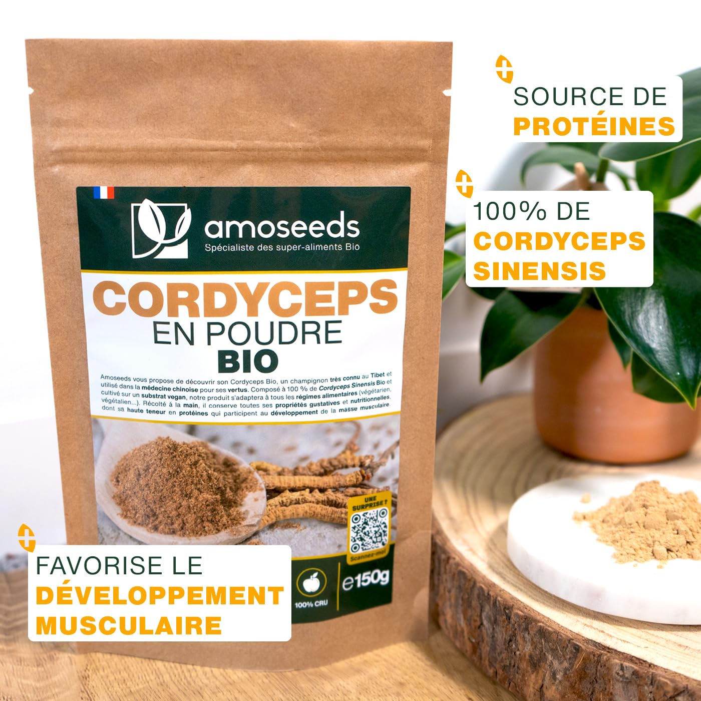 Cordyceps en Poudre Bio 150G | Qualité Supérieure | Anti-fatigue, Anti-stress, Énergie, Immunité
