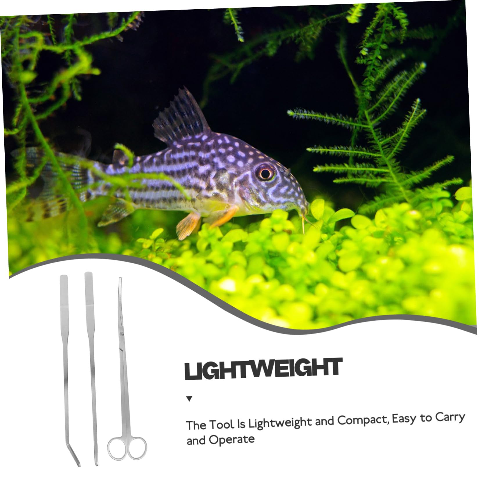 BESPORTBLE 4 Ensembles Outils pour réservoirs Aquatiques Outils d'aquarium Accessoires d'aquarium Ciseaux Aquatiques Outils Plantes Aquatiques Outils d'aquascaping Acier Inoxydable Silver