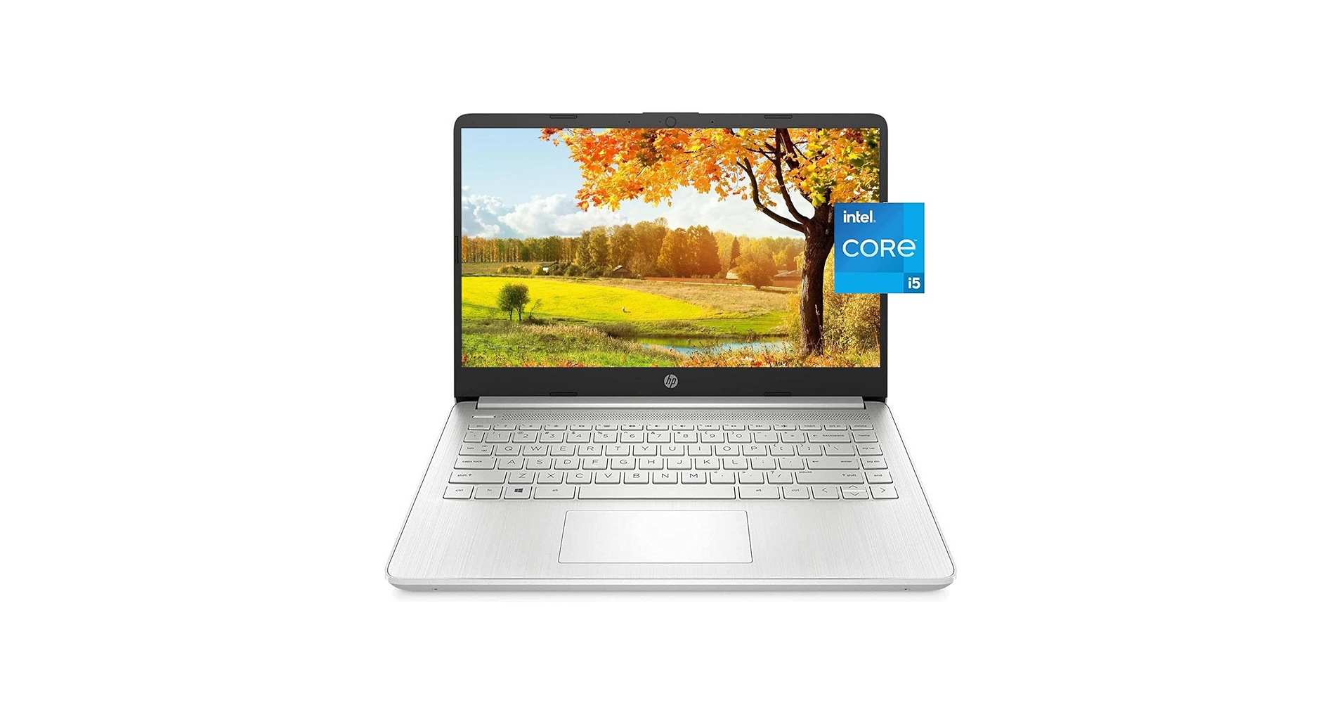 Amazon.com: HP 15.6