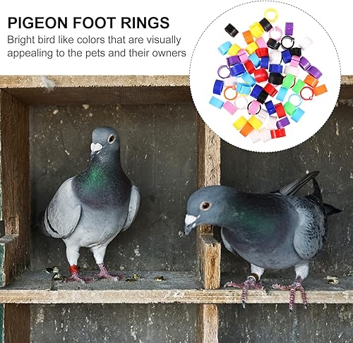 Miniatura 7 de EXCEART Patas de pollo, 100 unidades, anillos de pájaro, anillos de pie de paloma, anillos de plástico multicolor para patas de paloma, anillos de