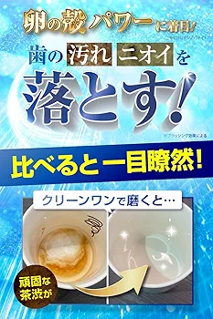 Amazon.co.jp: CLEAN WAN クリーンワン 犬 歯磨き ジェル 歯石
