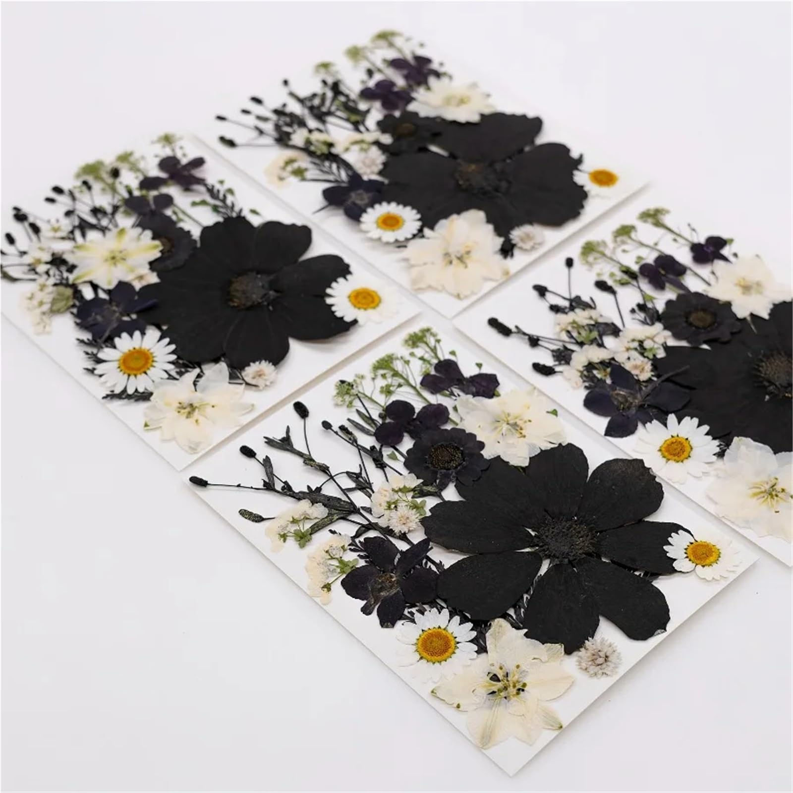 Flores Secas Prensadas Kit de artesanía Hojas Flores secas 4 Piezas