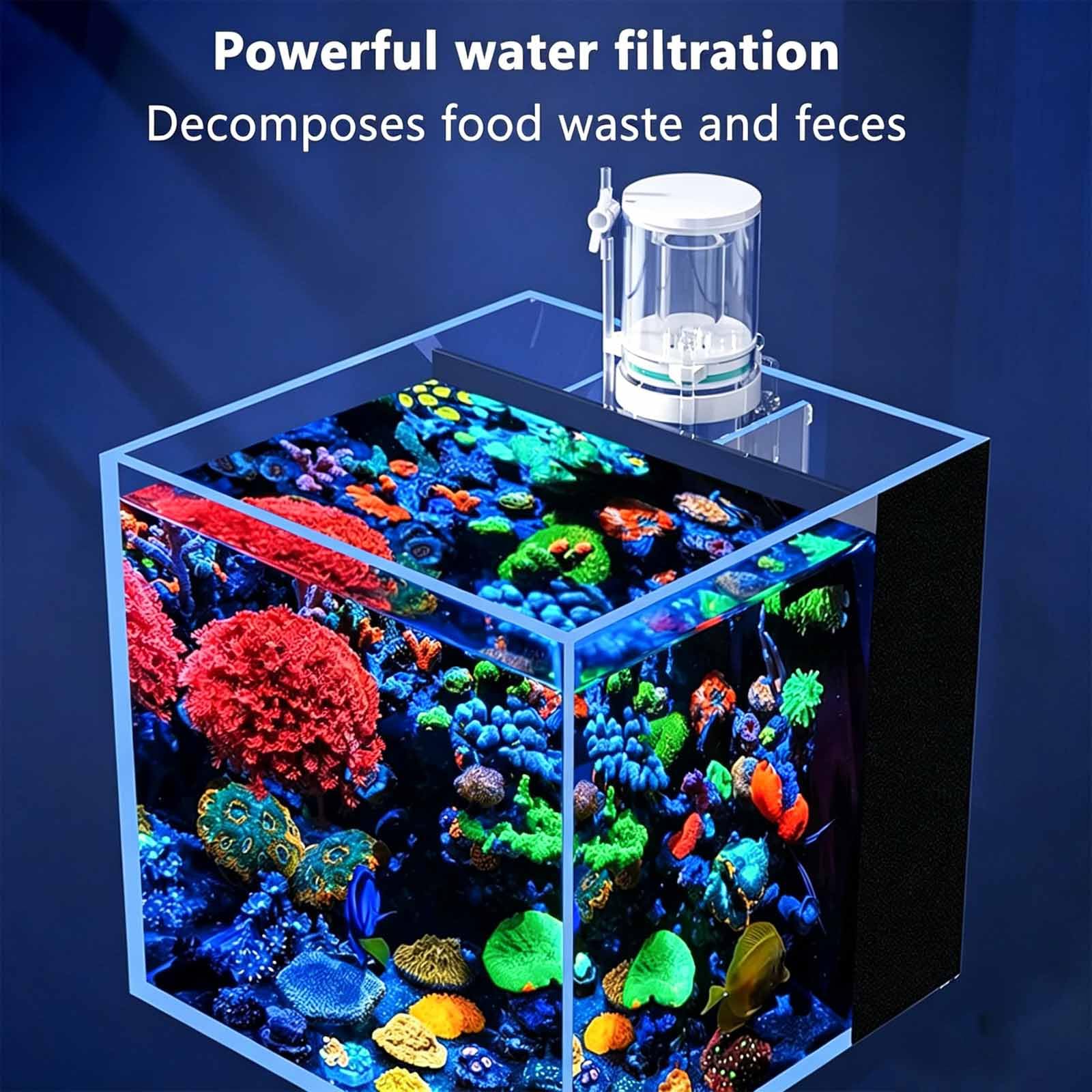 Écumeur De Surface pour Aquarium, Écumeur De Protéines pour Aquariums d'eau De Mer, Vanne D'aération À Bouton, Capacité d'eau Adaptée : 2 L À 20 L / 5 L À 40 L / 15 L À 90 15L