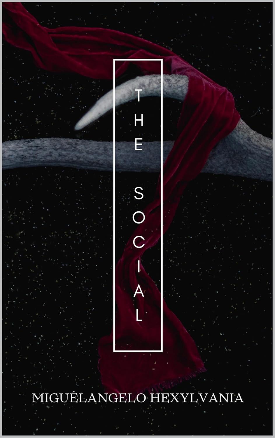 The Social      Kindle Edition
