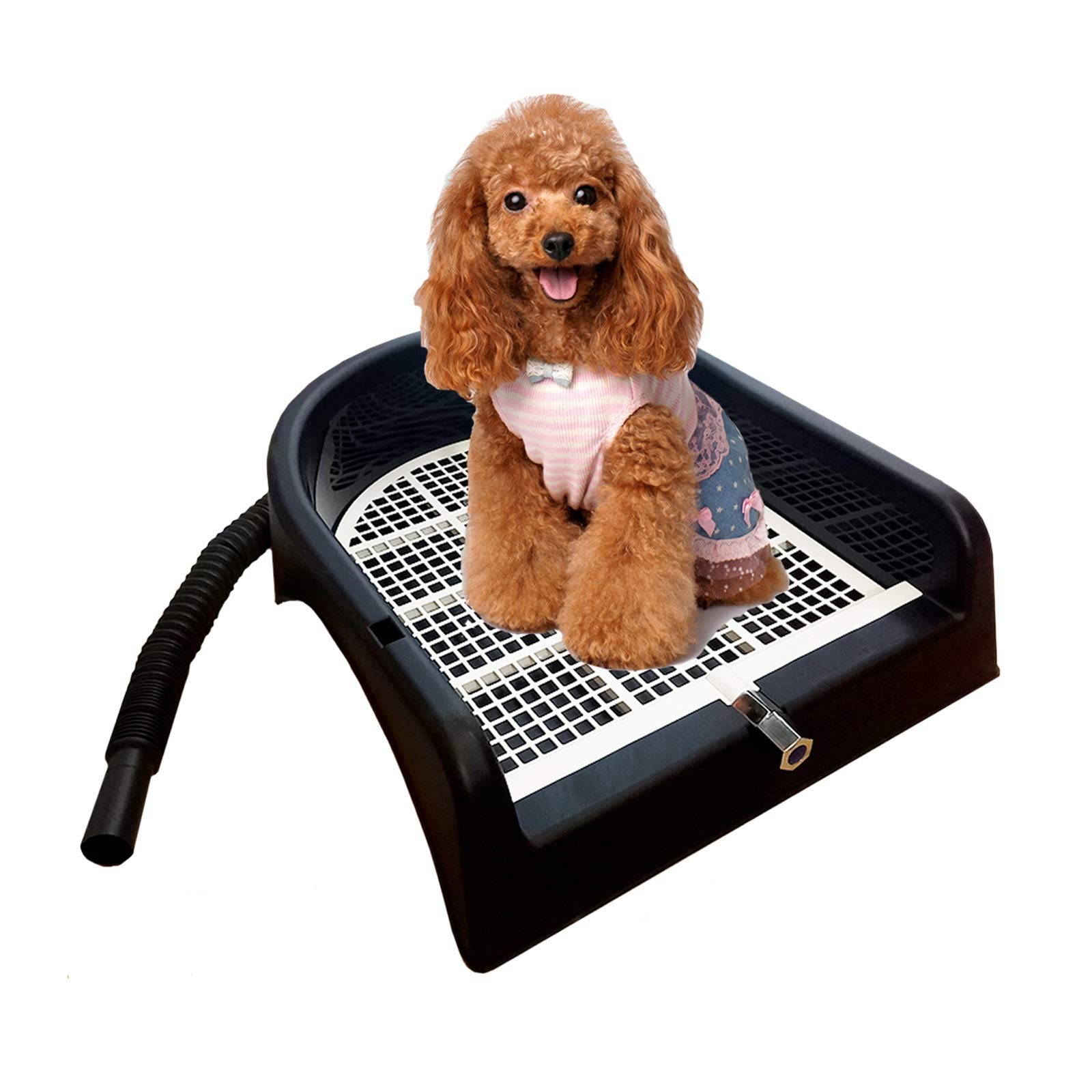 Amazon.co.jp: 犬用トイレ シャワー、プラスチック便器保護