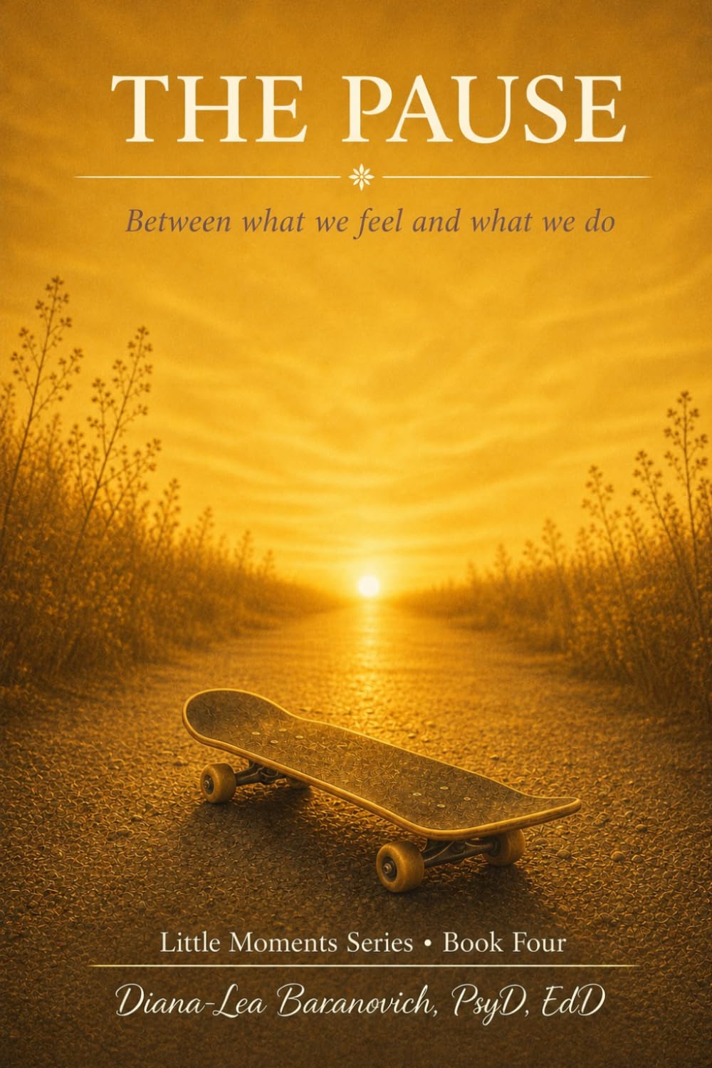 The Pause: Between what we feel and what we do (Little Moments Series)