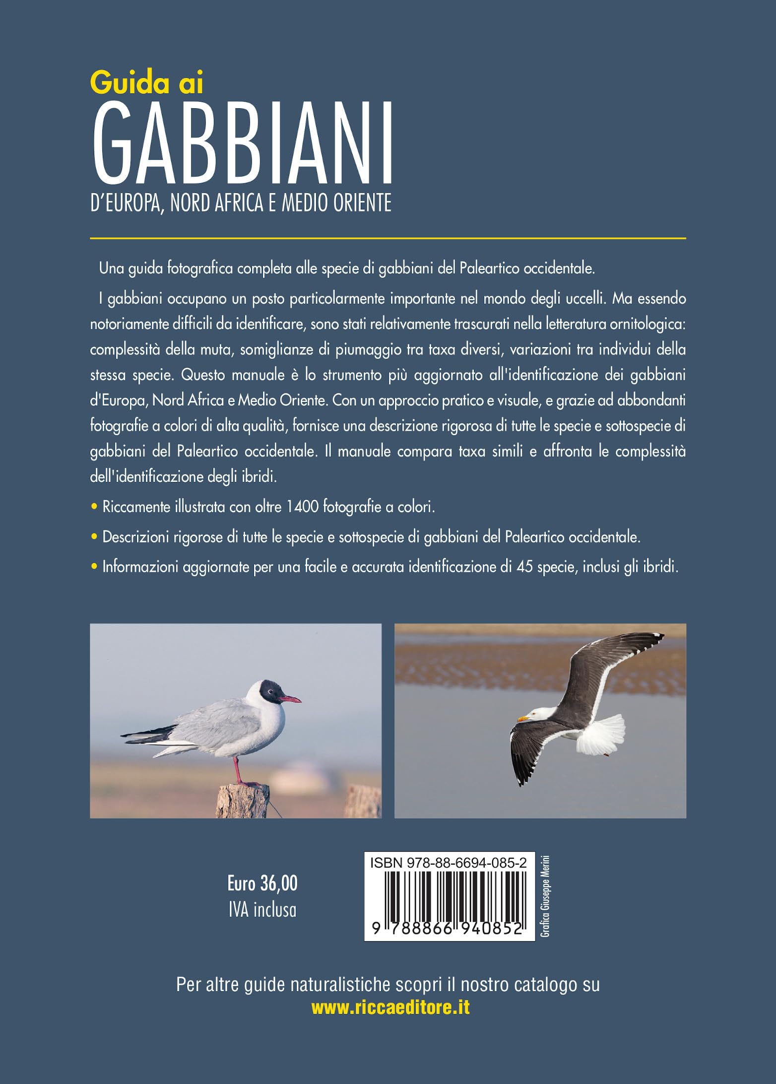 Guida ai gabbiani d'Europa, Nord Africa e Medio Oriente. Ediz. a colori
