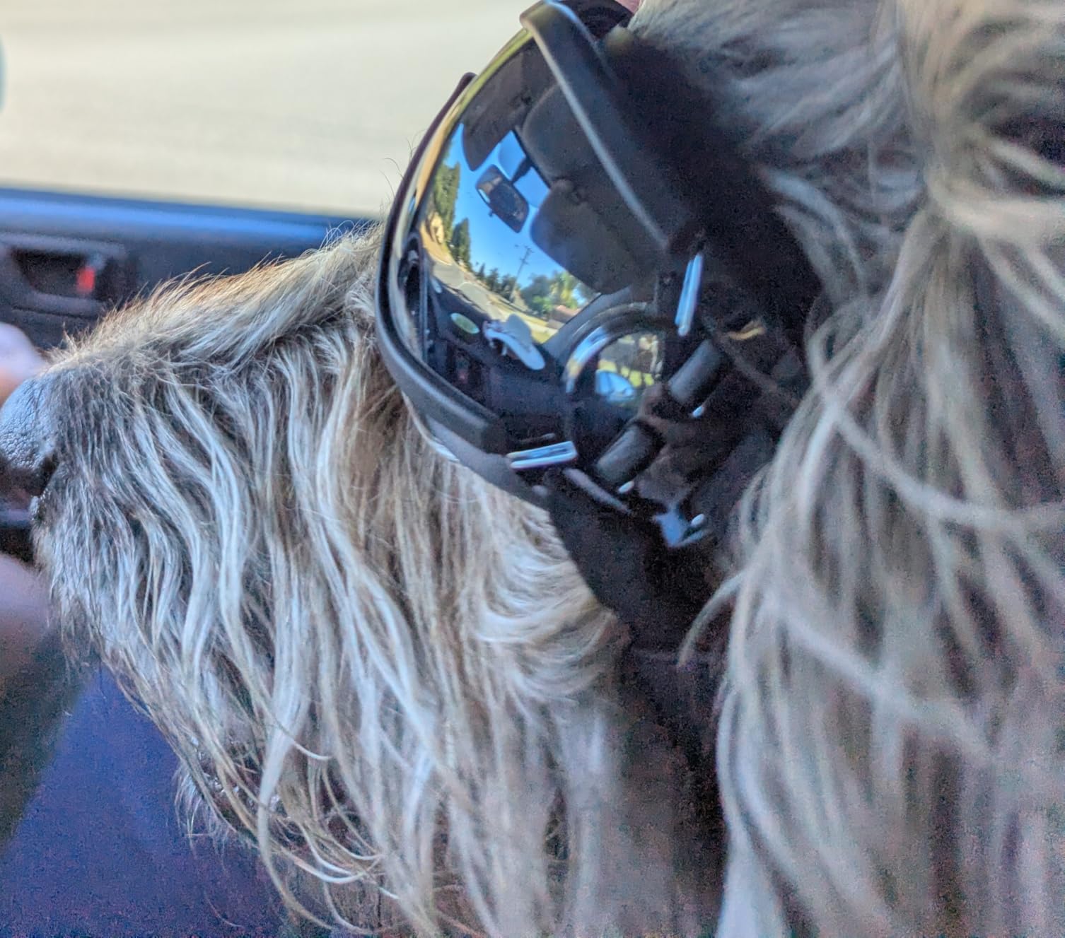 AIMALL Fashion Pet Dog Doggles Goggles UV Sunglasses Sun Glasses Eye ...