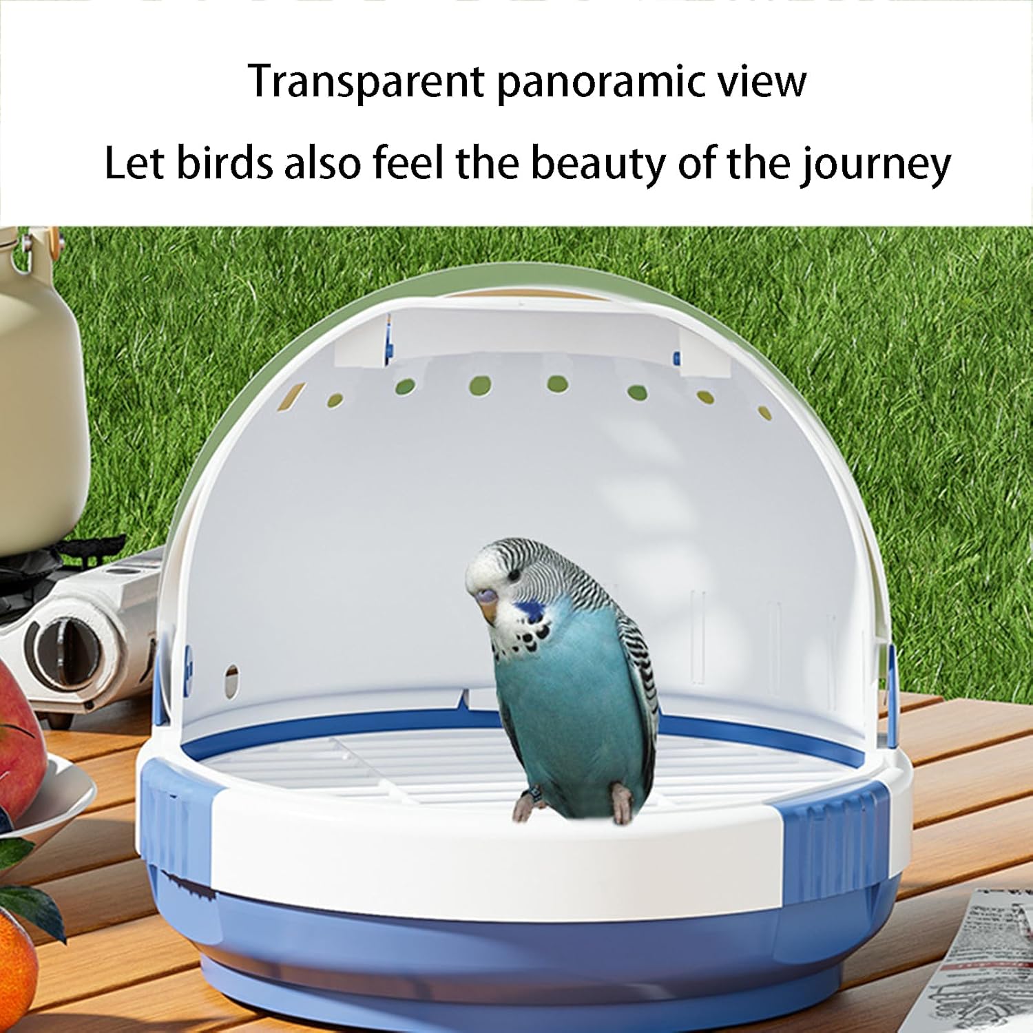 Parrot Carrier Travel Bird Carrier Panoramic View Anti Escape Easy to Clean for Conures Parakeet Budgie (Green)