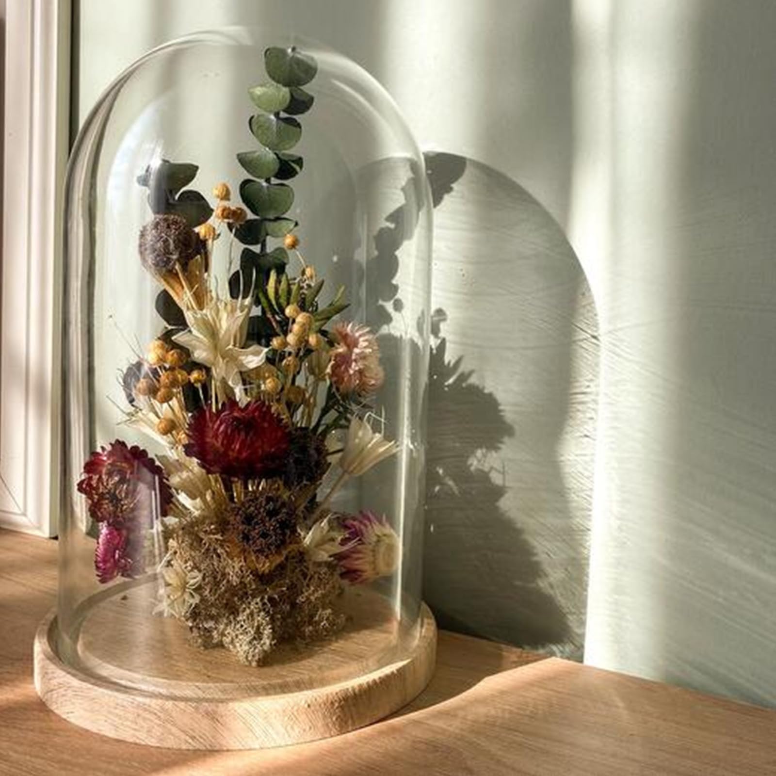 APACALI 1PCS Cloche en Verre avec Fond en Bois, Cloche décorative de 30 cm, Cloche en Verre Transparent, Cloche en Verre avec Fond pour lumières, décoration, Accessoires d'intérieur