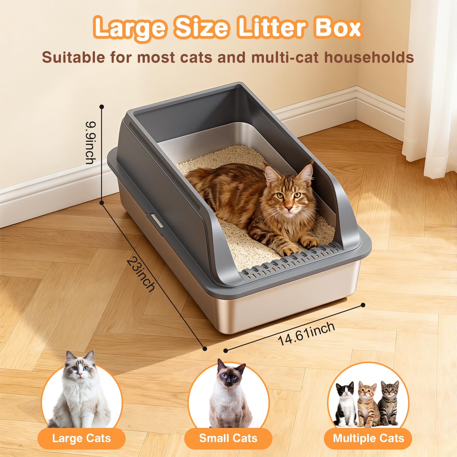 Rated 4.9 out of 5 stars from 16 reviews - image 2