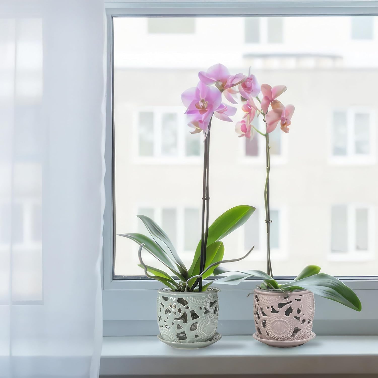 HERDUK Ceramic Orchid Pot, Orchid Pots with Drainage Holes & Saucer 6.5 Inch,Orchid Pot for Repotting Indoor, Orchid Containers with Precise Aeration & Drainage Sky Blue