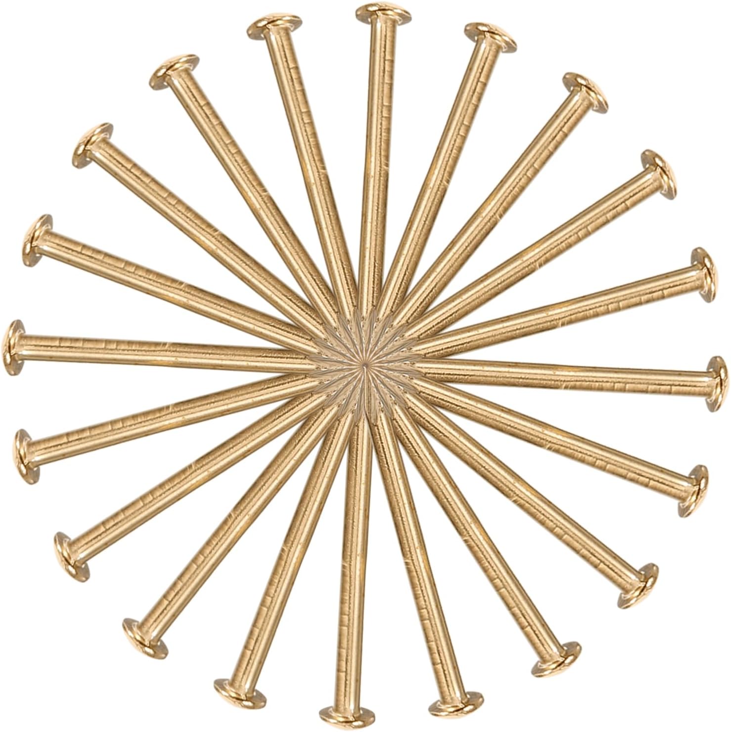 OSALADI 300pcs Tacks Furniture Nails Round Nails for Decorative Projects Brass for Wall Decor