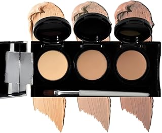 Dermaflage Paleta de corrector impermeable (b...