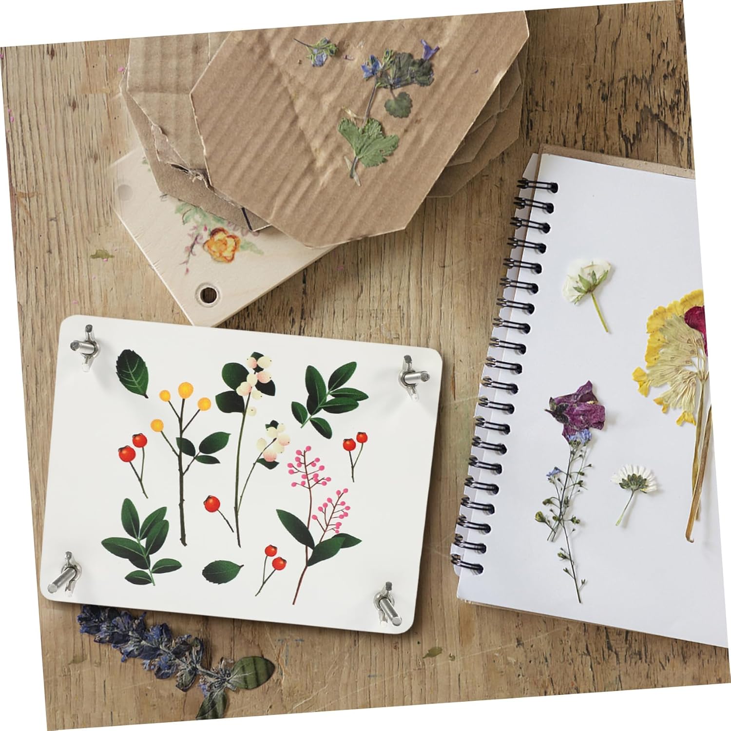 Uonlytech Flower Pressing Kit DIY Flower Press Plant Specimen Pressing Tools Press for Craft Art