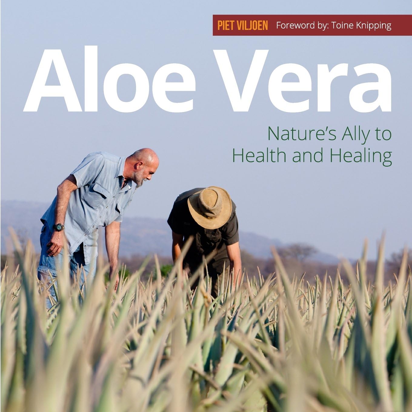 Aloe Vera: Nature's Ally to Health and Healing Paperback – 3 Jun. 2015
