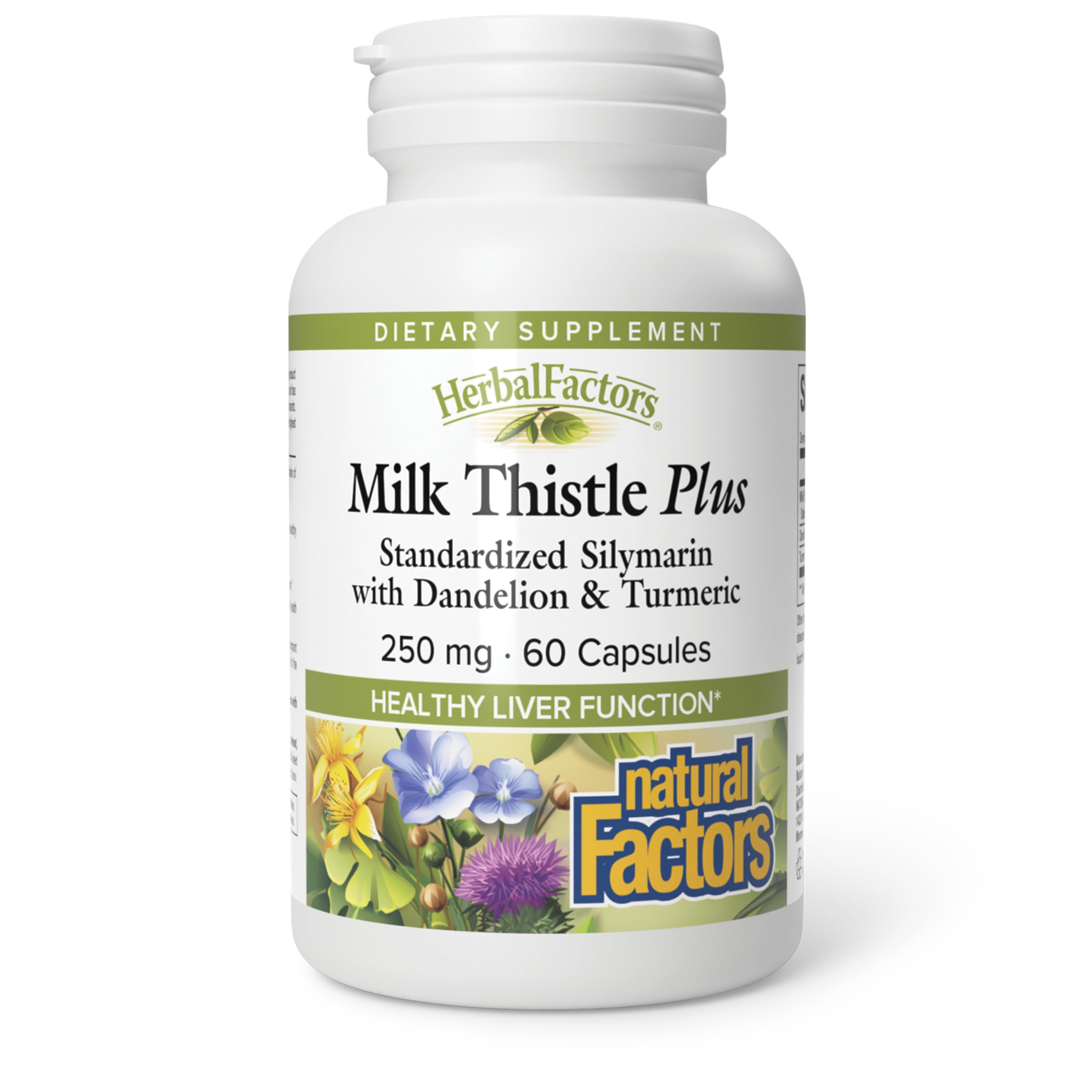Natural Factors Milk Thistle 250 mg for Liver Support*, 60 Capsules 60 Count (Pack of 1)