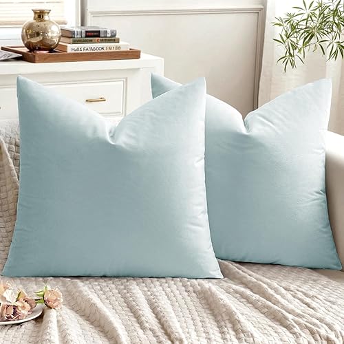 EMEMA Paquete de 2 fundas de almohada de terciopelo, fundas de almohada cuadradas decorativas, suaves, lisas, para sofá, dormitorio, automóvil, 20 x