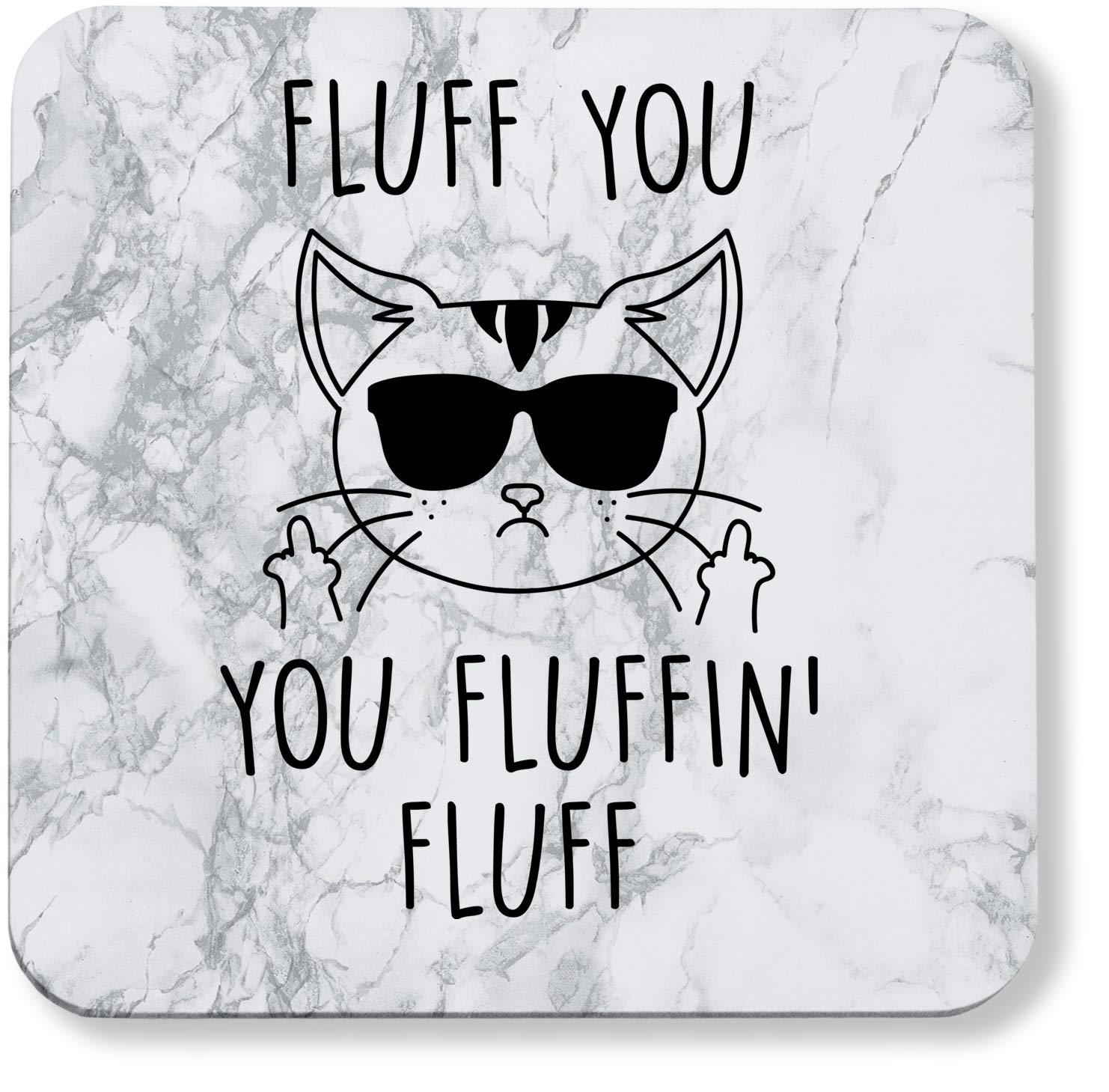 Hippowarehouse Fluff you you fluffin' fluff - Cat printed coaster gloss finish durable backing 9cm x 9cm 2 pack