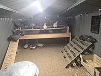 Review Image by Patricia Jaquays Patricia Jaquays