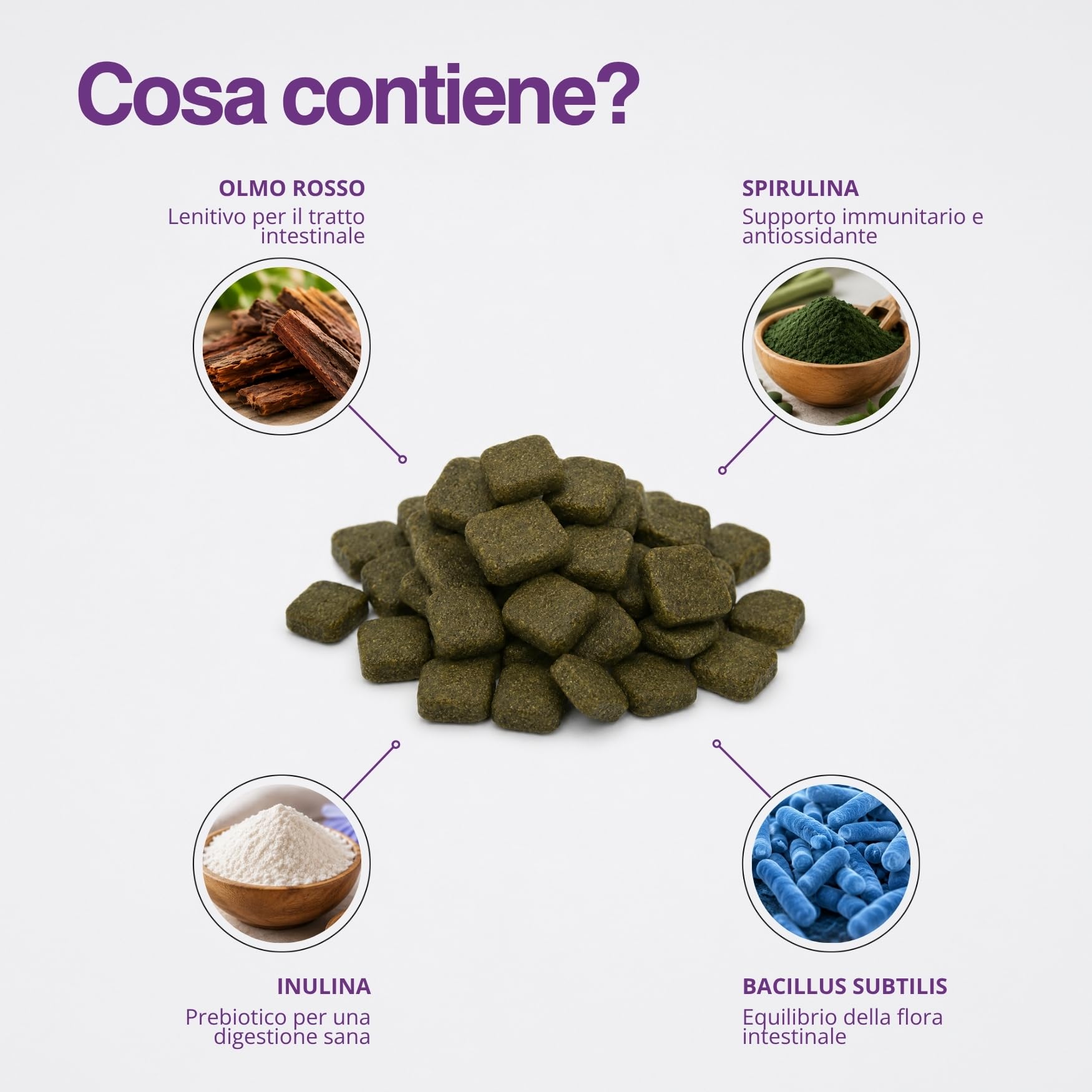 Probiotici Per Cani 60 Bocconcini 180g Prebiotici Cane 5 Miliardi CFU per Benessere Intestinale, Digestione, Diarrea Cane Probiotico Digestivo Cani Integratore Naturale Con Inulina, Zucca E Spirulina