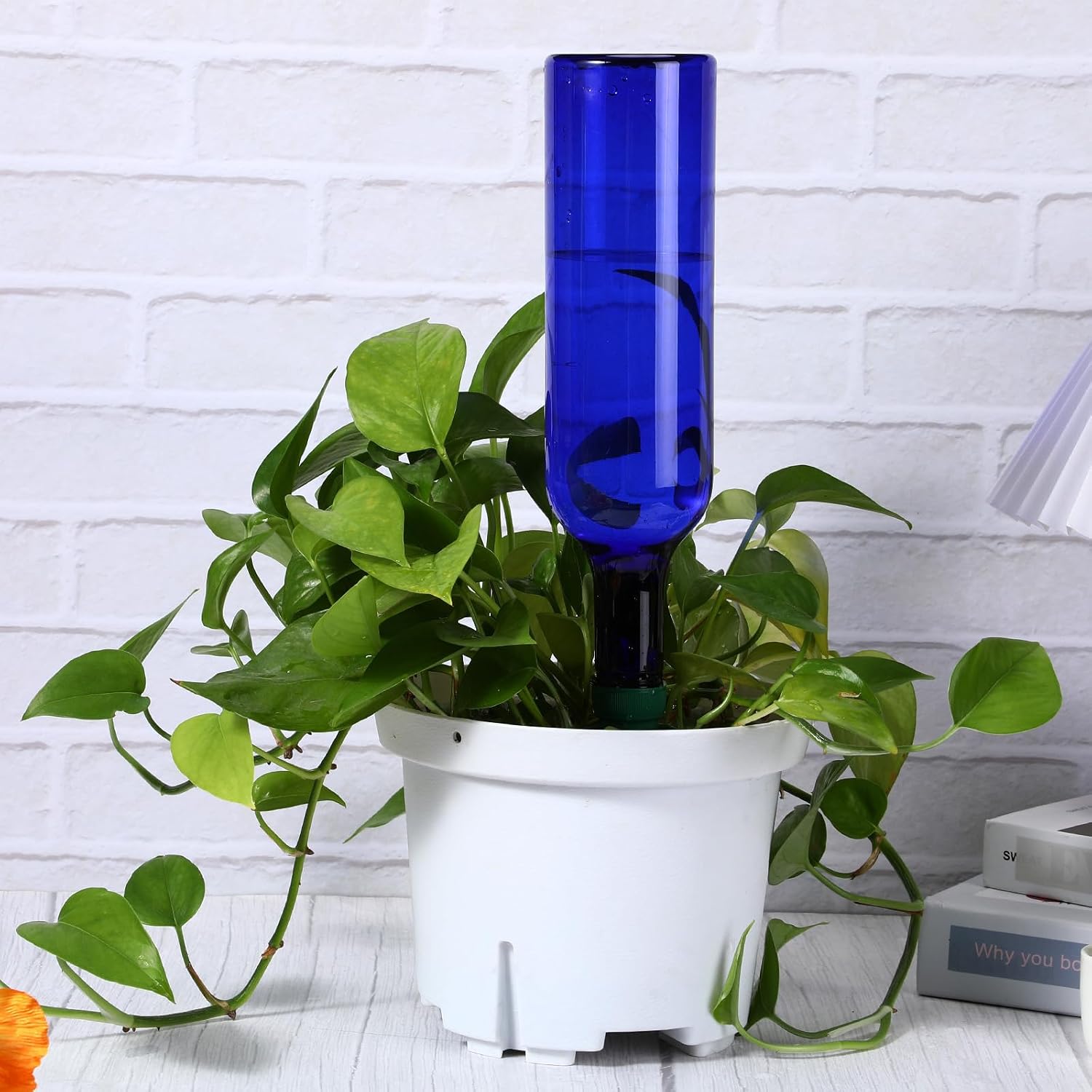 SiliFine 8 Set Plant Watering Devices Include Self Watering Spikes and 26 oz Plastic Bottles Plant Waterer Devices with Adjustable Control Valve Switch Indoor Outdoor (Blue) image 5
