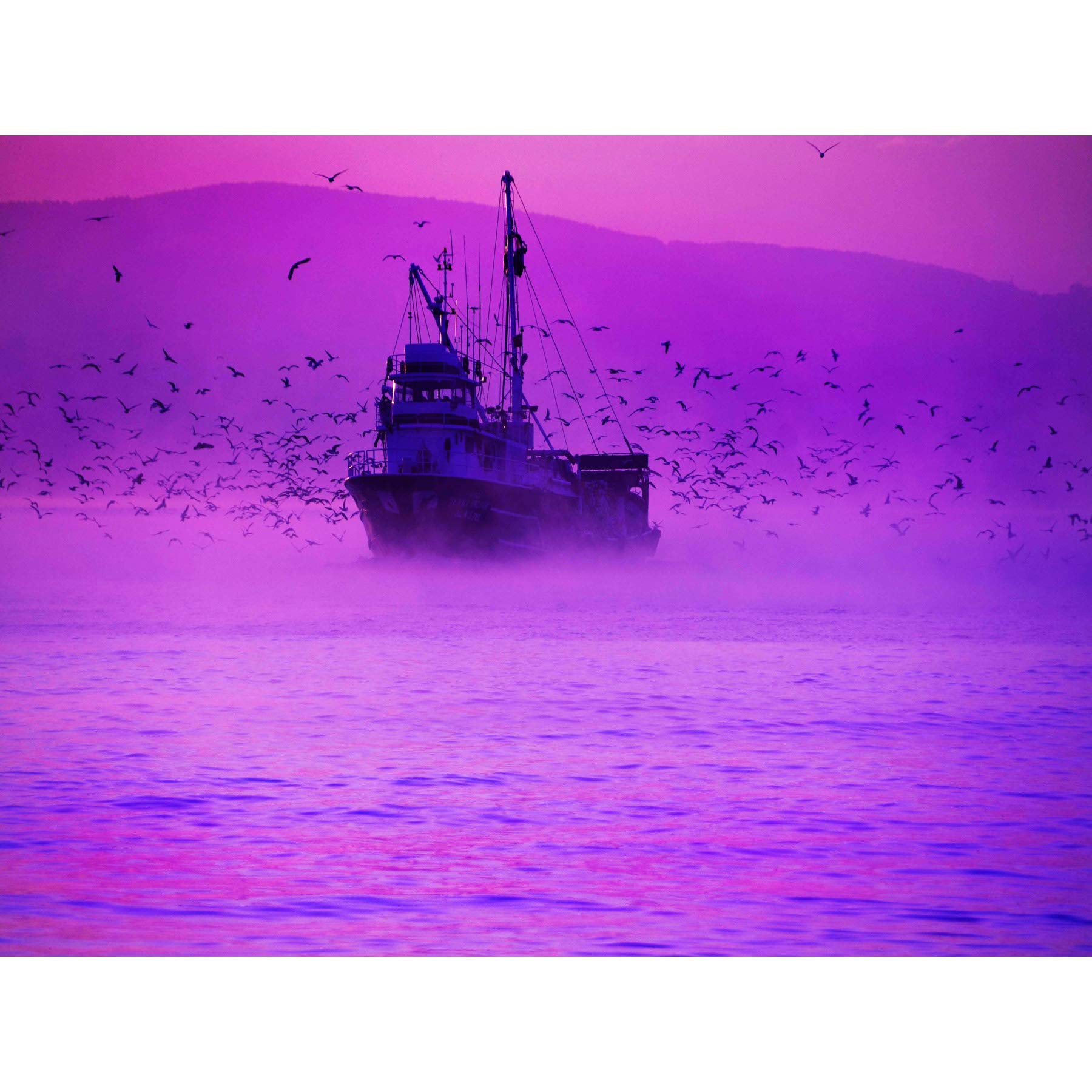 Wee Blue Coo PHOTOGRAPHY COMPOSITION PURPLE HAZE FISHING TRAWLER FLOCK GULLS 12x16 '' POSTER MP3427B