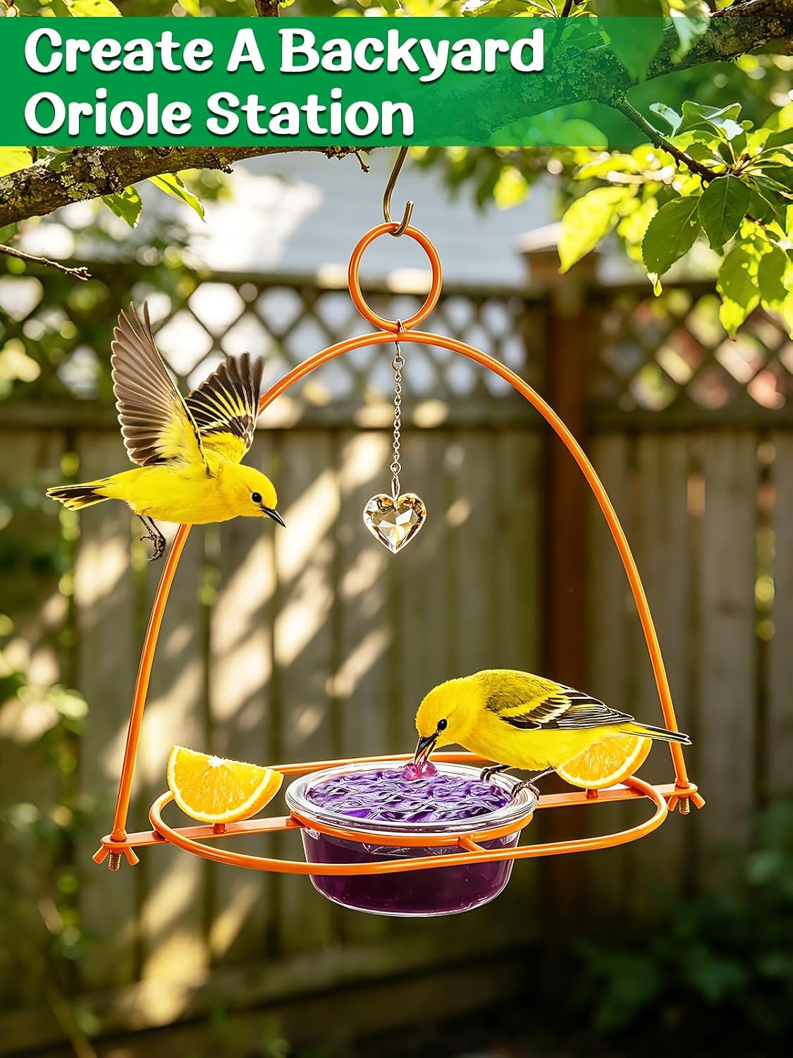 Extra Large Oriole Feeders for Outdoors with 14.2 oz Glass Bowl- Thicken Metal Baltimore Oriole Jelly Orange Feeder, Bird Watching Gift for Backyard/Garden/Patio Decor