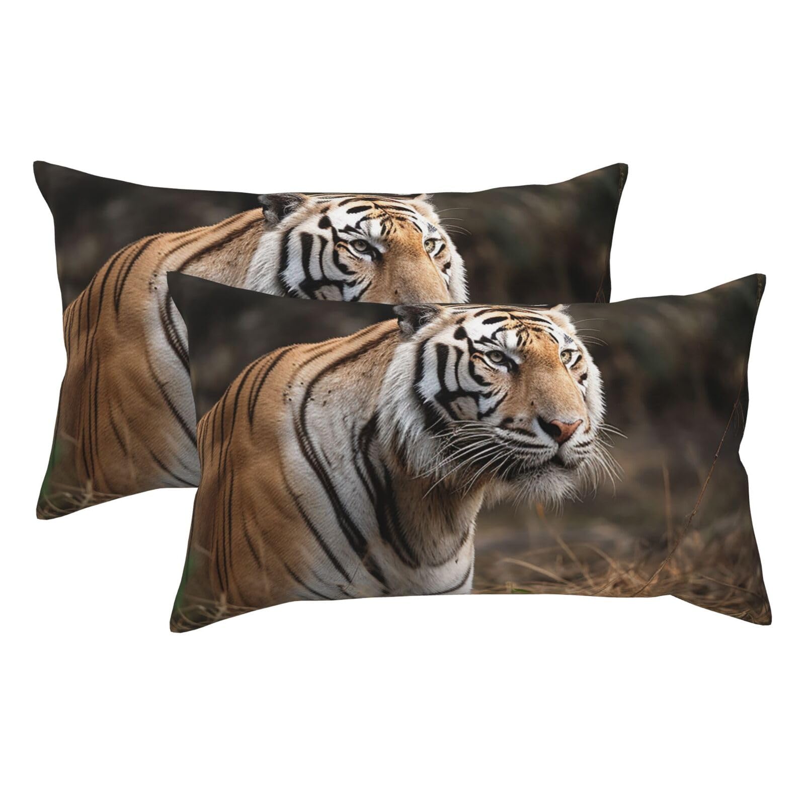2 Pack King Pillow Cases with Hidden Zipper, Soft Breathable Pillow Covers for Hair and Skin, Wildlife Tiger Pillowcases 20"x36" Bed Pillow Protectors Cover for Sleeping Gifts