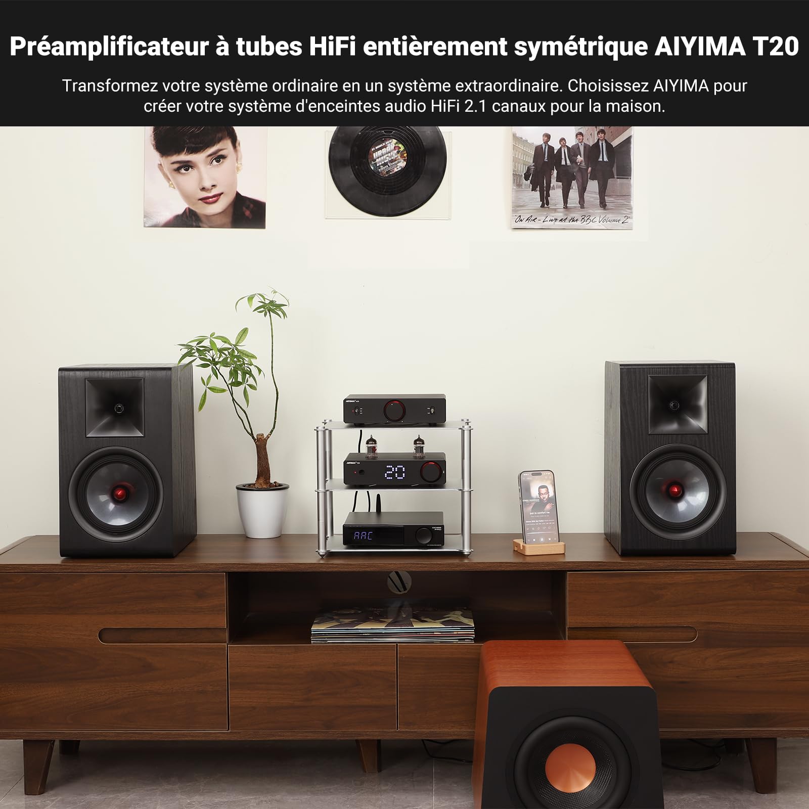 Préamplificateur à Tube entièrement équilibré AIYIMA T20 LME49720 pour HiFi Home Audio Mini préamplificateur à Tube à Vide avec entrées et Sorties RCA et XLR et Sortie de déclenchement 12 V