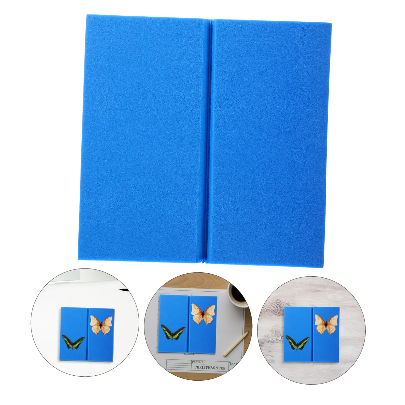 iplusmile 3pezzi Per Insetti Per Esposizione Per Per Pinning Insetti Kit Per Collezionisti Specimen