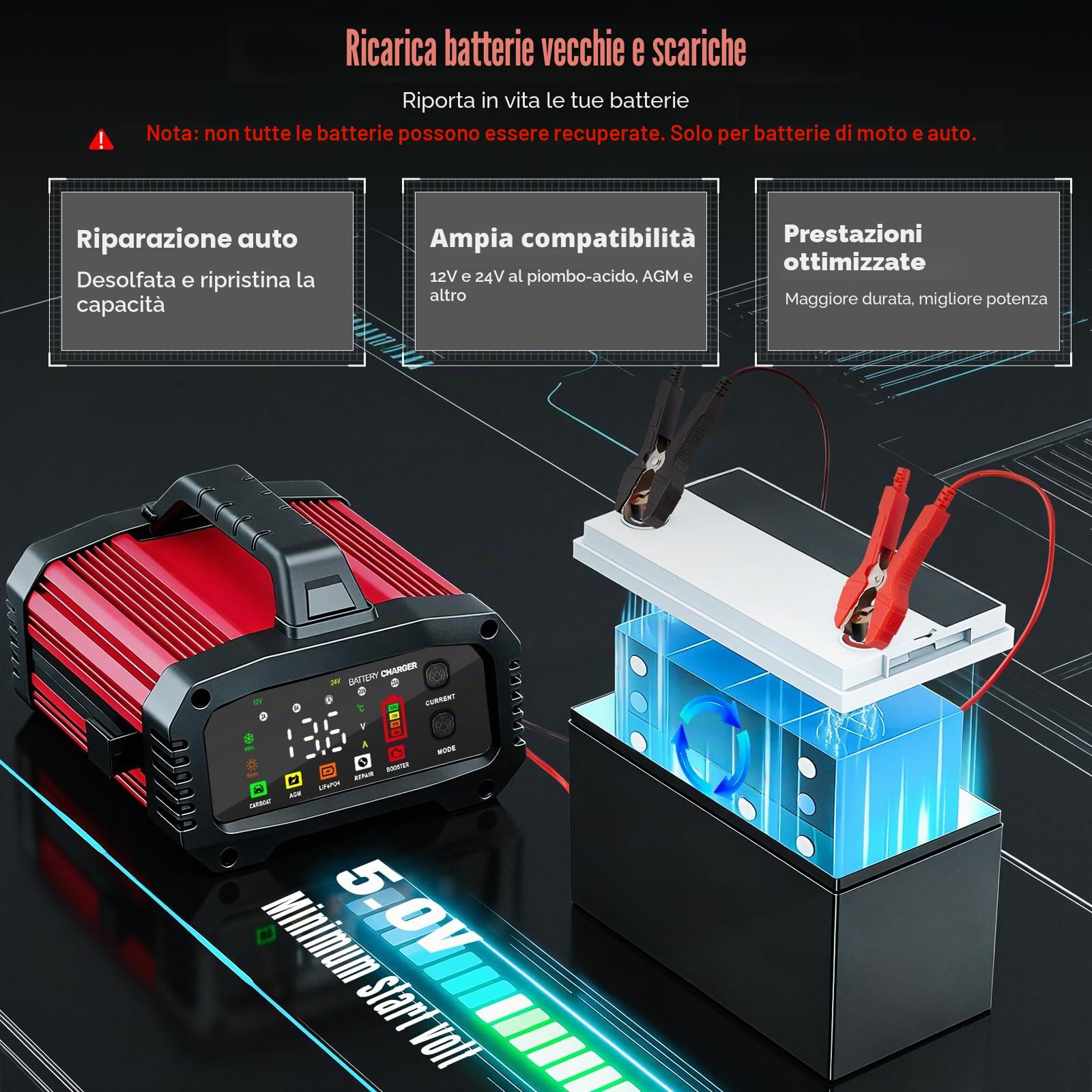 25A Caricabatteria da Auto, Caricabatterie per Auto LiFePO4 12V 24V, Caricabatteria portatile, Intelligente Schermo LED Caricabatteria per Auto Moto Camion, AGM, Gel, SLA