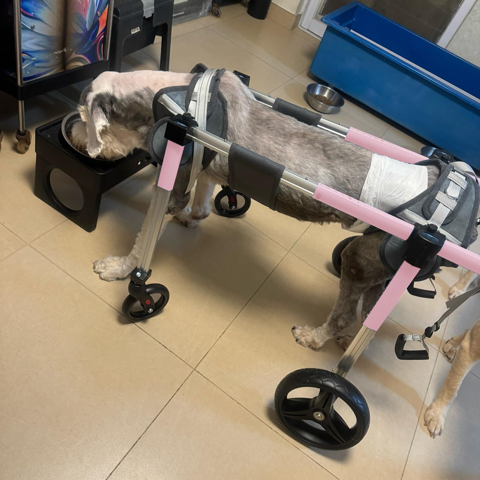 Remolque para bicicleta para perros: andador asistido rosa para paseos compartidos