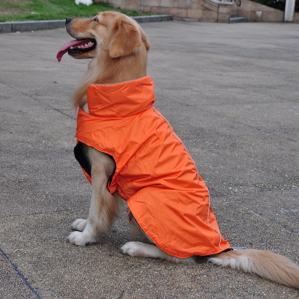 Dog Raincoat Waterproof & Durable for Small, Medium, Large Breed Dogs size-14- Orange (B0D4QR2PRG) Amazon Price History, Amazon Price Tracker