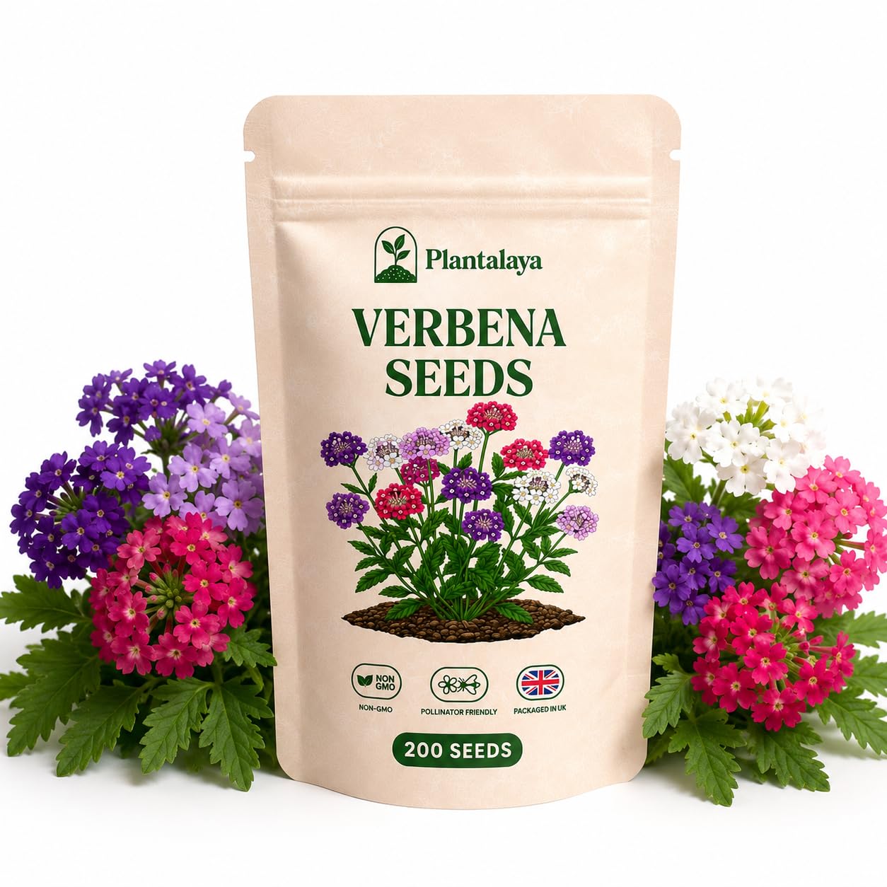 Verbena Seeds Mixed Colours – Flower Seeds for Garden Outdoor – Easy Grow Bedding Plants – Long Flowering Summer Flowers – Bee Friendly Pollinator Plants – Verbena Seed Pack
